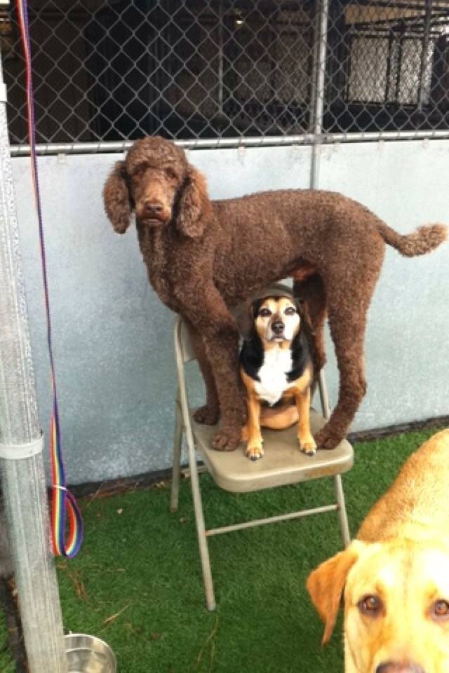 Quinn and Annie 